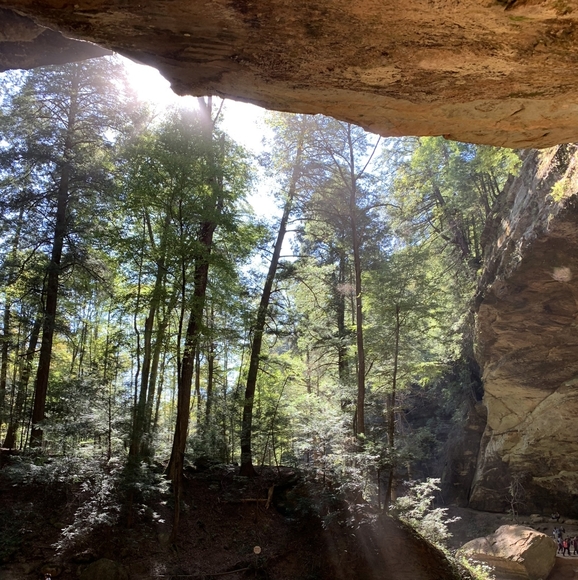 Meet the Posher Other - Meet your Posher, Shelby